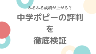 中学ポピー 評判